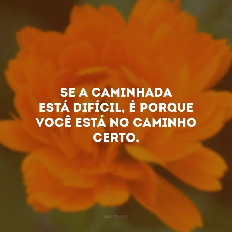 Se a caminhada está difícil, é porque você está no caminho certo.