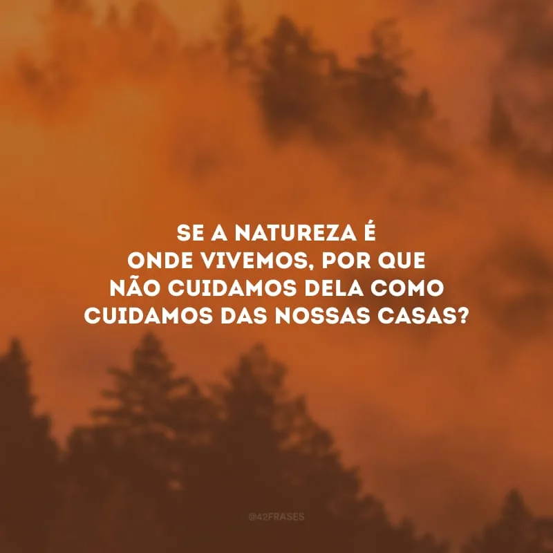 Se a natureza é onde vivemos, por que não cuidamos dela como cuidamos das nossas casas?
