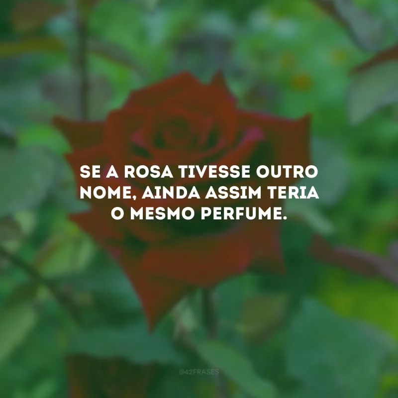 Se a rosa tivesse outro nome, ainda assim teria o mesmo perfume. 
