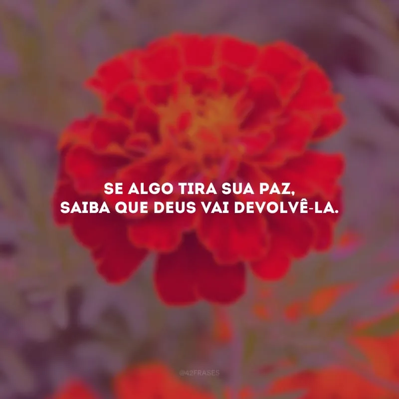 Se algo tira sua paz, saiba que Deus vai devolvê-la.