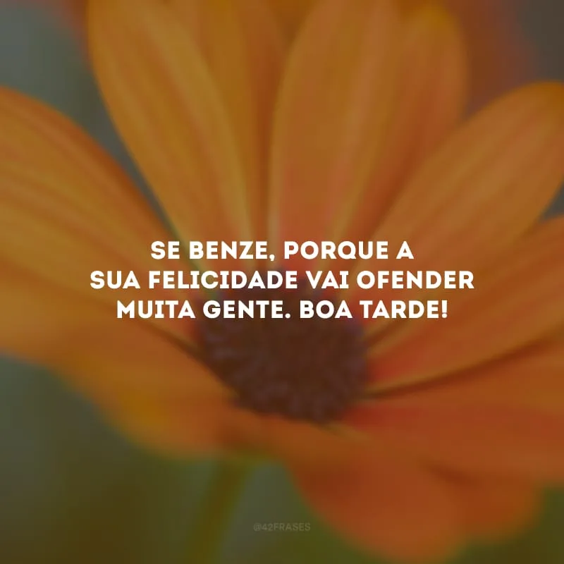 Se benze, porque a sua felicidade vai ofender muita gente. Boa tarde!