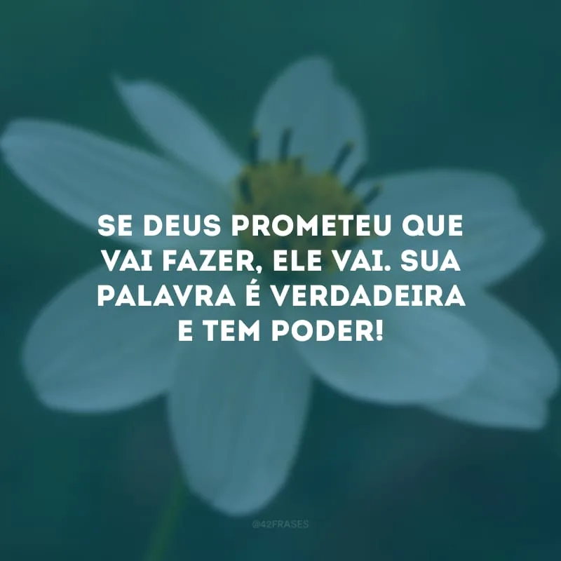 Se Deus prometeu que vai fazer, Ele vai. Sua palavra é verdadeira e tem poder!