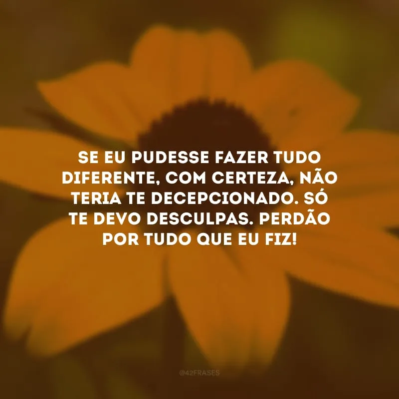 Se eu pudesse fazer tudo diferente, com certeza, não teria te decepcionado. Só te devo desculpas. Perdão por tudo que eu fiz!