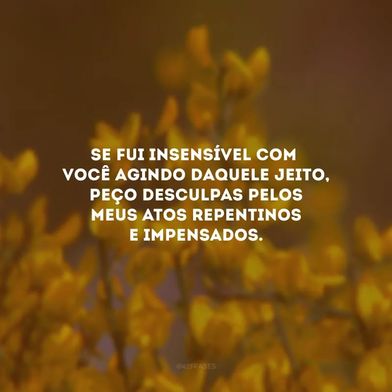 Se fui insensível com você agindo daquele jeito, peço desculpas pelos meus atos repentinos e impensados.