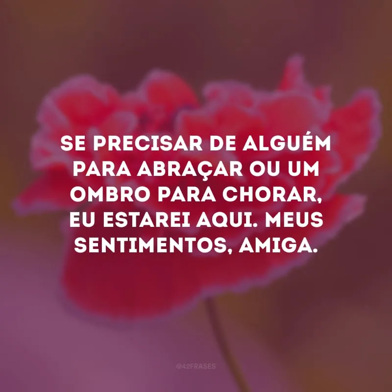 Se precisar de alguém para abraçar ou um ombro para chorar, eu estarei aqui. Meus sentimentos, amiga.