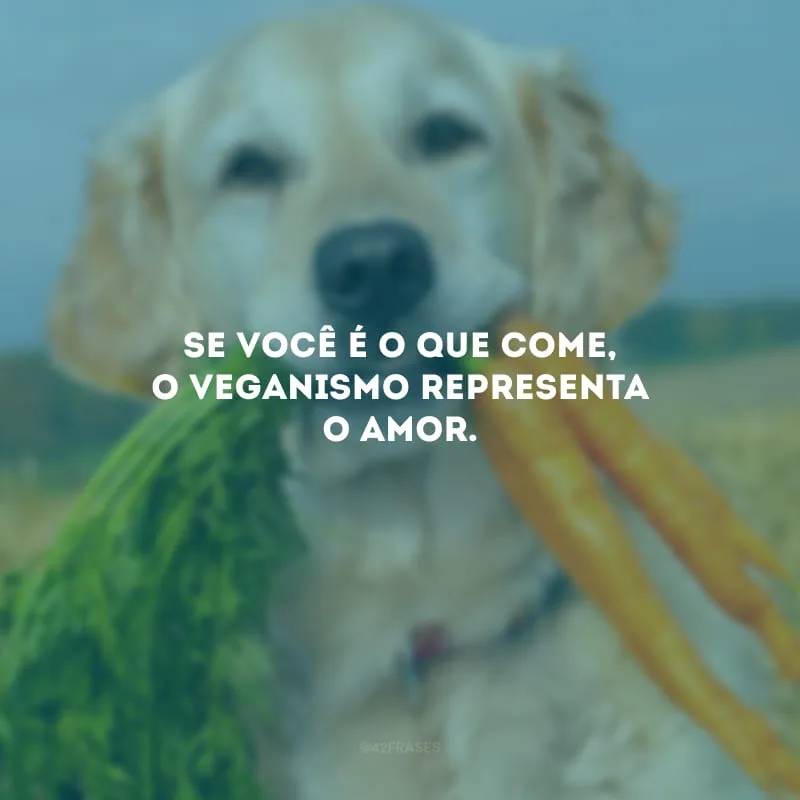 Se você é o que come, o veganismo representa o amor.