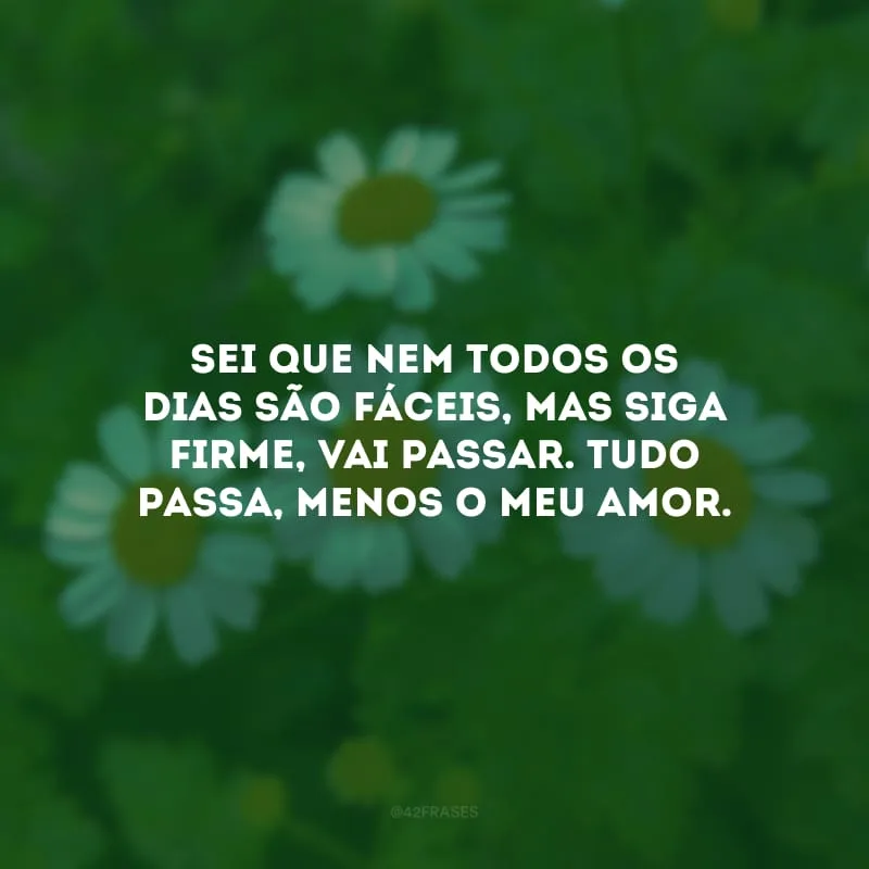 Sei que nem todos os dias são fáceis, mas siga firme, vai passar. Tudo passa, menos o meu amor.