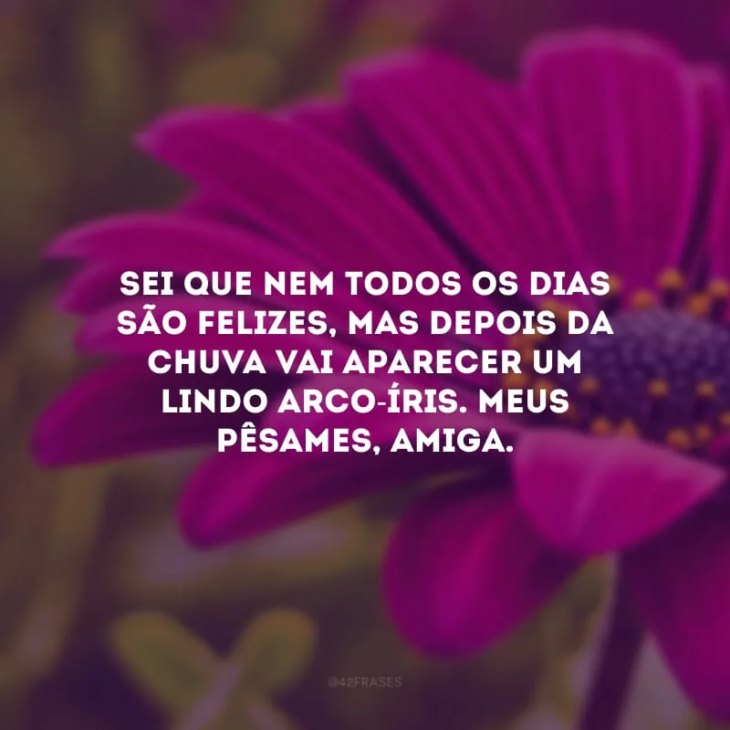 Sei que nem todos os dias são felizes, mas depois da chuva vai aparecer um lindo arco-íris. Meus pêsames, amiga.