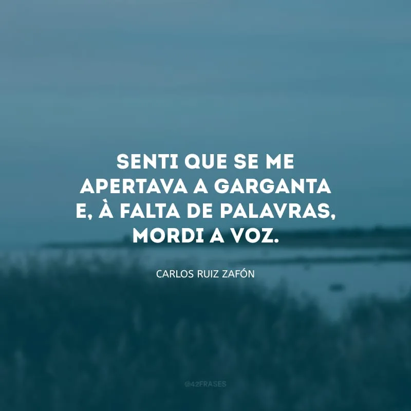Senti que se me apertava a garganta e, à falta de palavras, mordi a voz.
