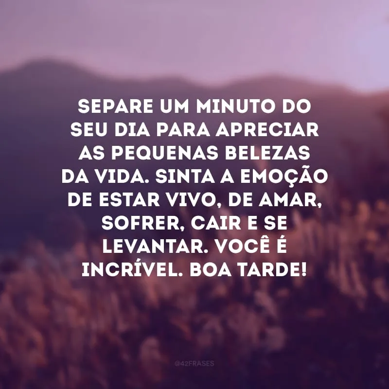 Separe um minuto do seu dia para apreciar as pequenas belezas da vida. Sinta a emoção de estar vivo, de amar, sofrer, cair e se levantar. Você é incrível. Boa tarde!