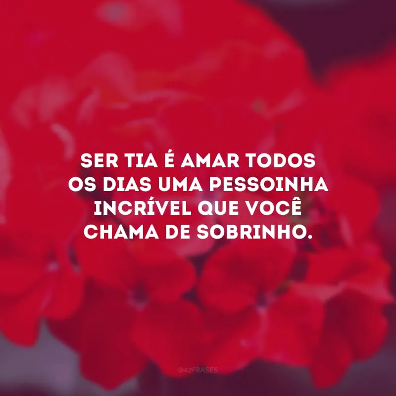 Ser tia é amar todos os dias uma pessoinha incrível que você chama de sobrinho.