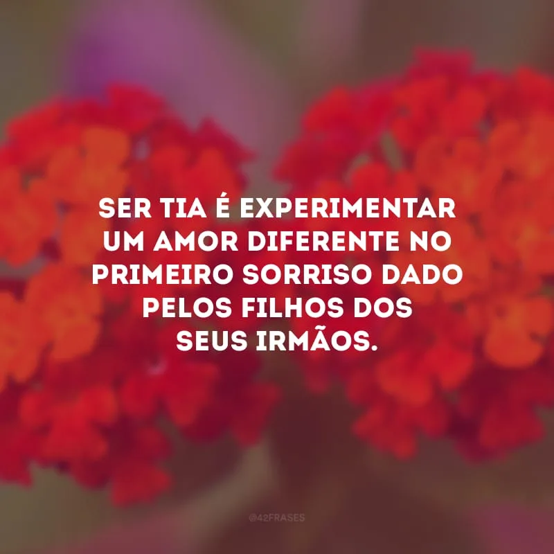 Ser tia é experimentar um amor diferente no primeiro sorriso dado pelos filhos dos seus irmãos.