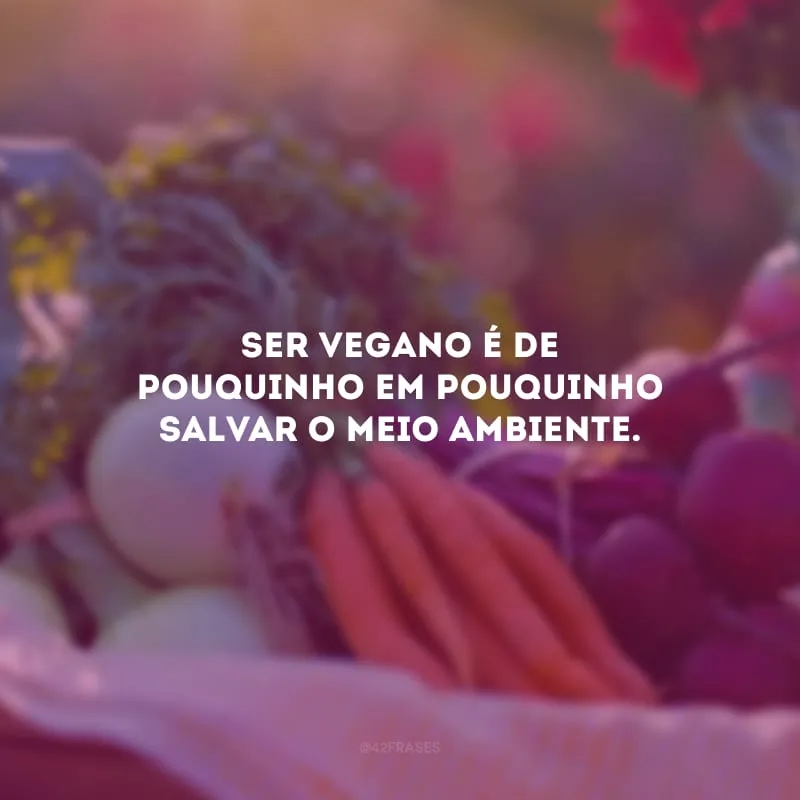 Ser vegano é de pouquinho em pouquinho salvar o meio ambiente.