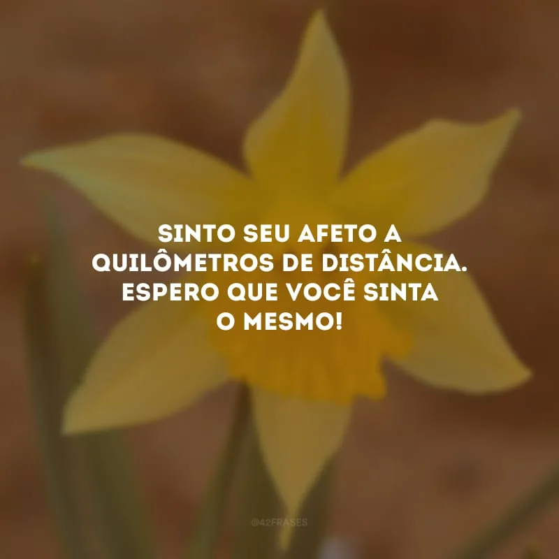 Sinto seu afeto a quilômetros de distância. Espero que você sinta o mesmo!