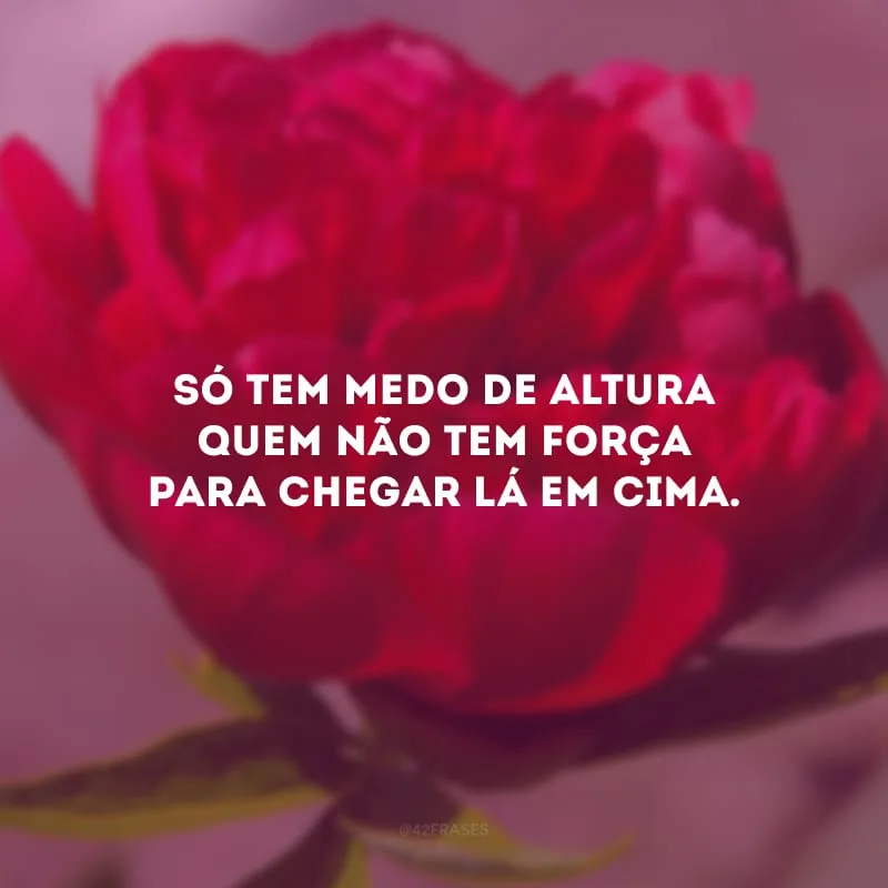 Só tem medo de altura quem não tem força para chegar lá em cima.