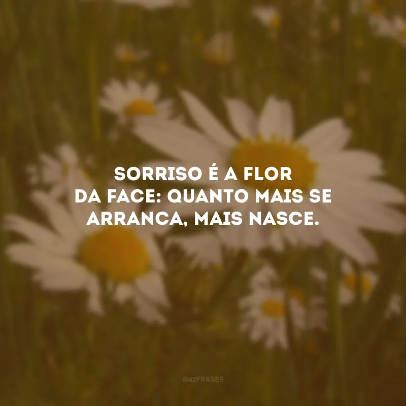 Sorriso é a flor da face: quanto mais se arranca, mais nasce. 