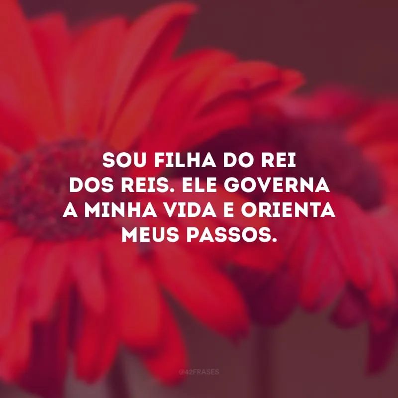 Sou filha do Rei dos reis. Ele governa a minha vida e orienta meus passos.
