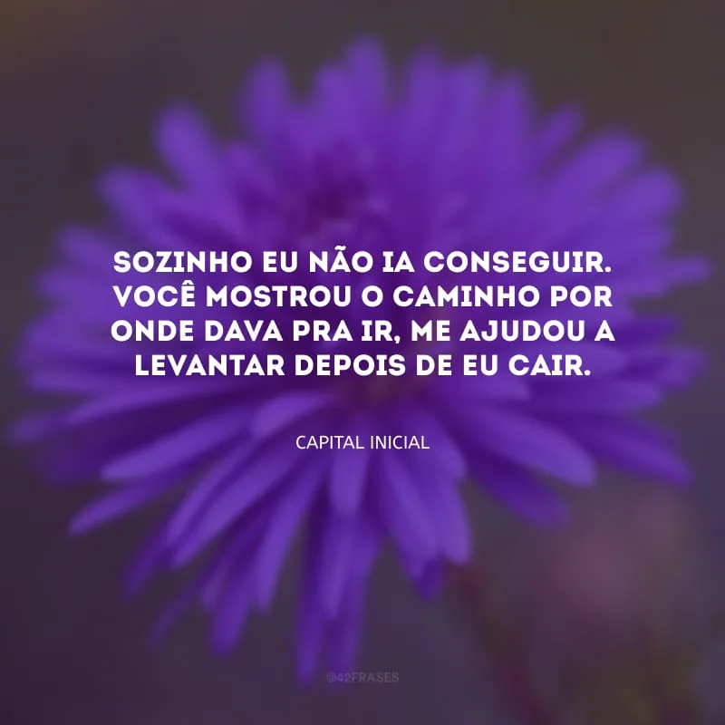 Sozinho eu não ia conseguir. Você mostrou o caminho por onde dava pra ir, me ajudou a levantar depois de eu cair. 