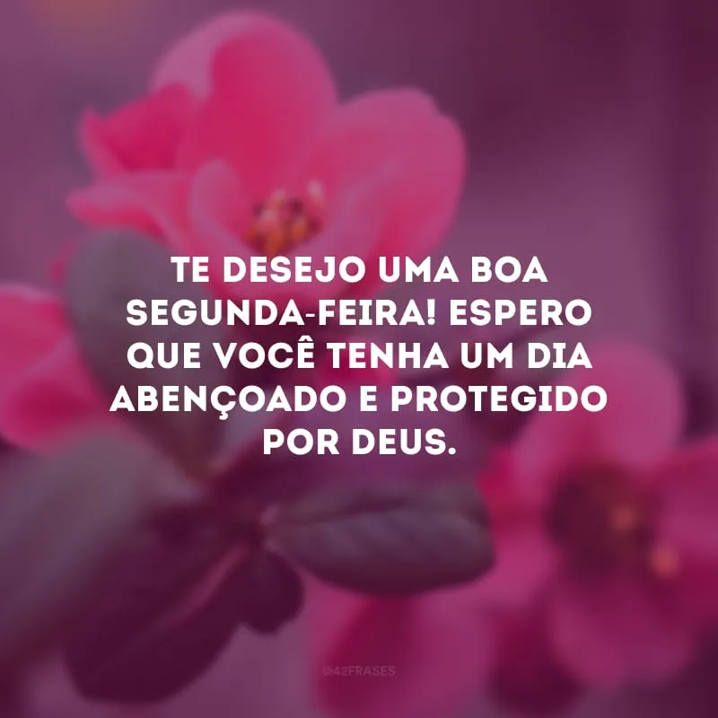 Te desejo uma boa segunda-feira! Espero que você tenha um dia abençoado e protegido por Deus.