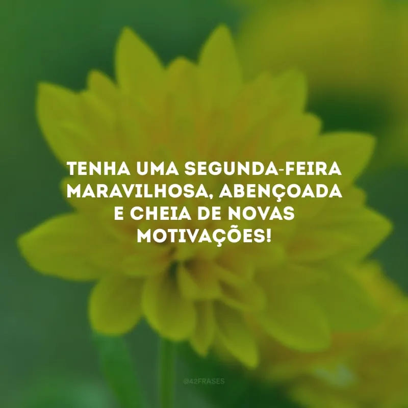 Tenha uma segunda-feira maravilhosa, abençoada e cheia de novas motivações!