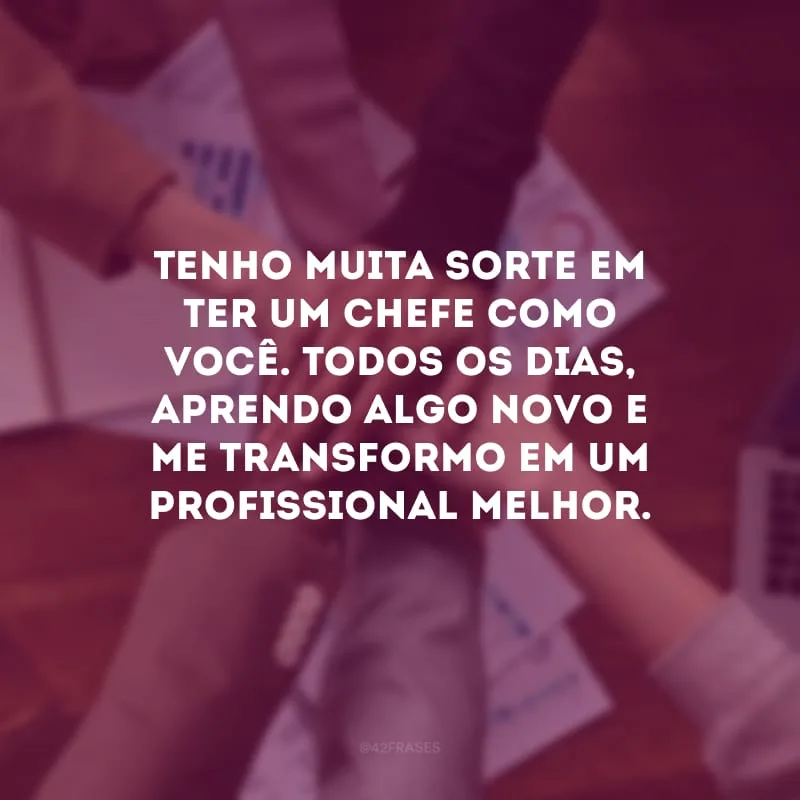 Tenho muita sorte em ter um chefe como você. Todos os dias, aprendo algo novo e me transformo em um profissional melhor.