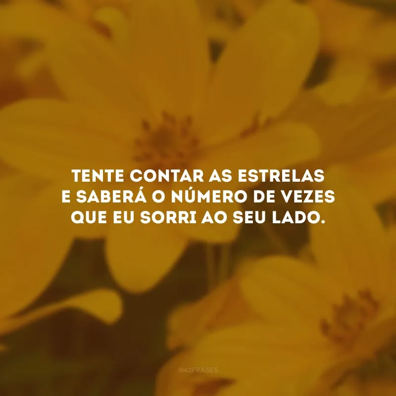 Tente contar as estrelas e saberá o número de vezes que eu sorri ao seu lado.