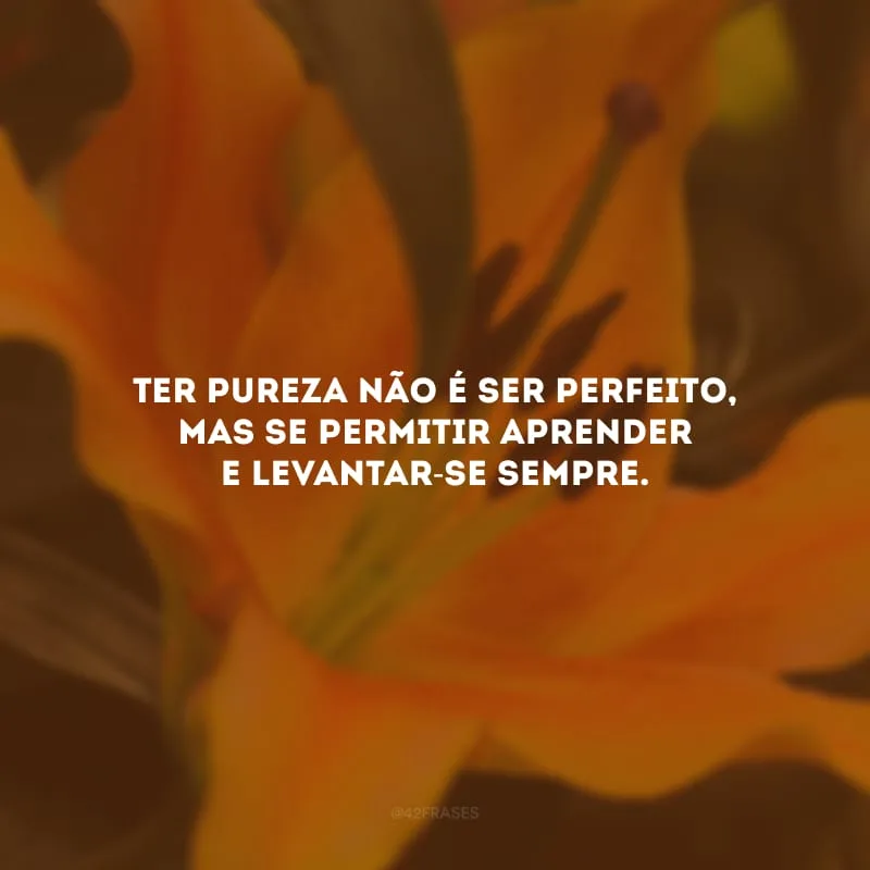 Ter pureza não é ser perfeito, mas se permitir aprender e levantar-se sempre.