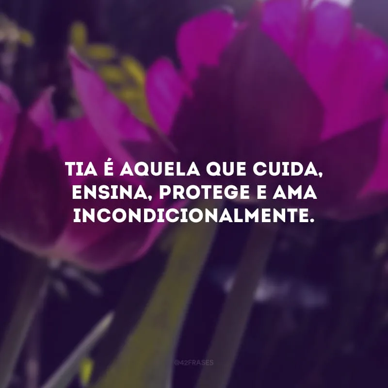 Tia é aquela que cuida, ensina, protege e ama incondicionalmente.