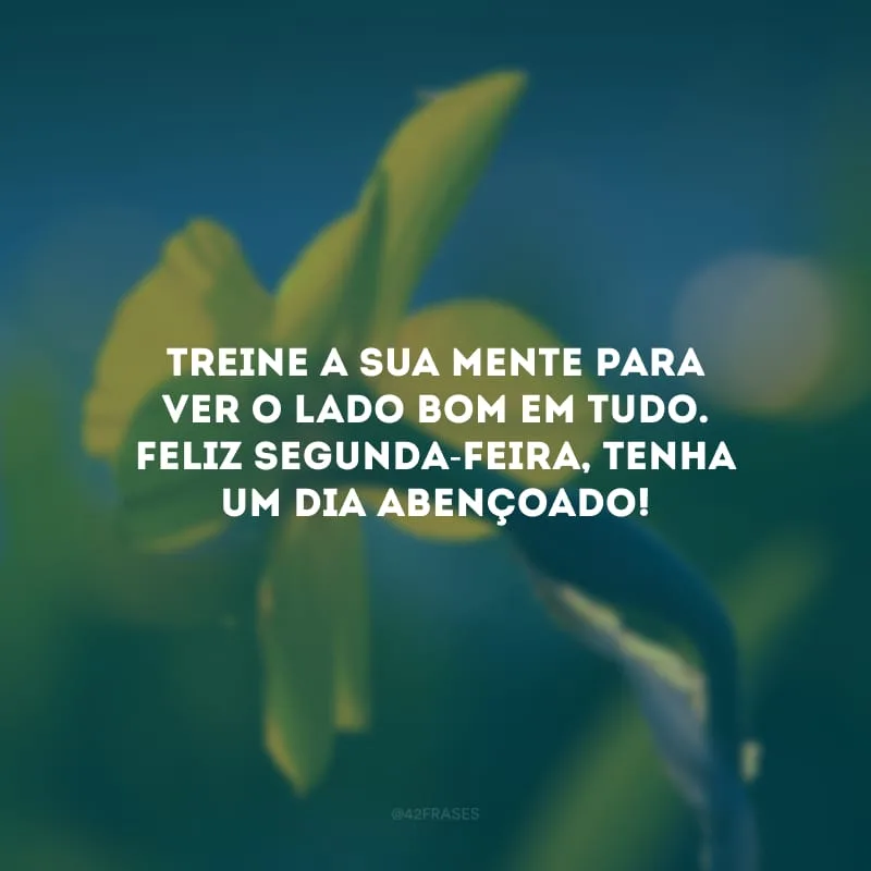 Treine a sua mente para ver o lado bom em tudo. Feliz segunda-feira, tenha um dia abençoado!