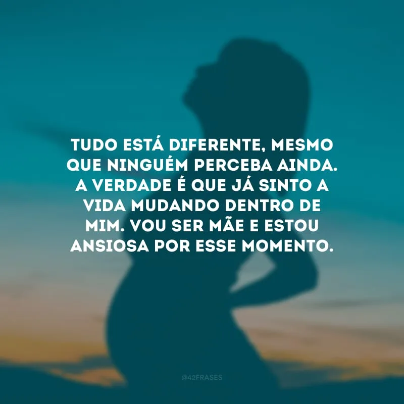 Tudo está diferente, mesmo que ninguém perceba ainda. A verdade é que já sinto a vida mudando dentro de mim. Vou ser mãe e estou ansiosa por esse momento.