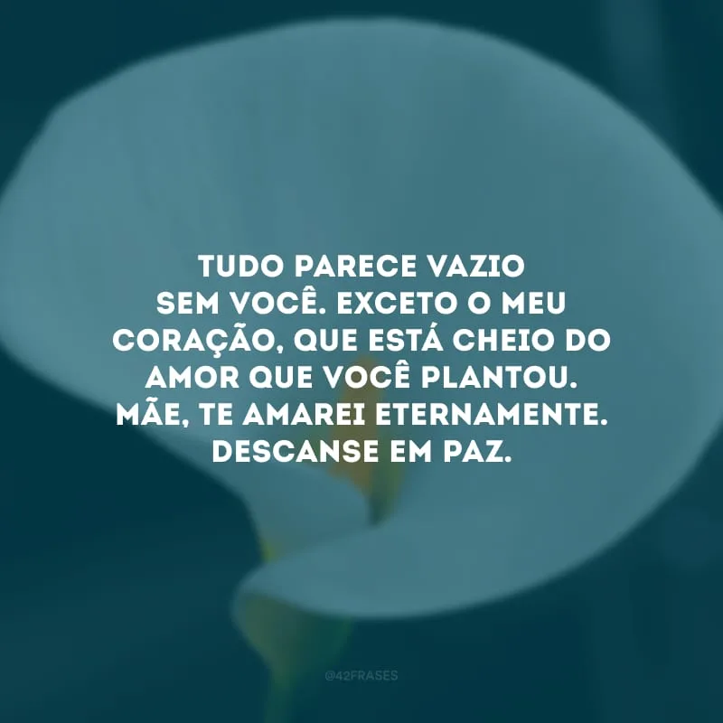 Tudo parece vazio sem você. Exceto o meu coração, que está cheio do amor que você plantou. Mãe, te amarei eternamente. Descanse em paz.