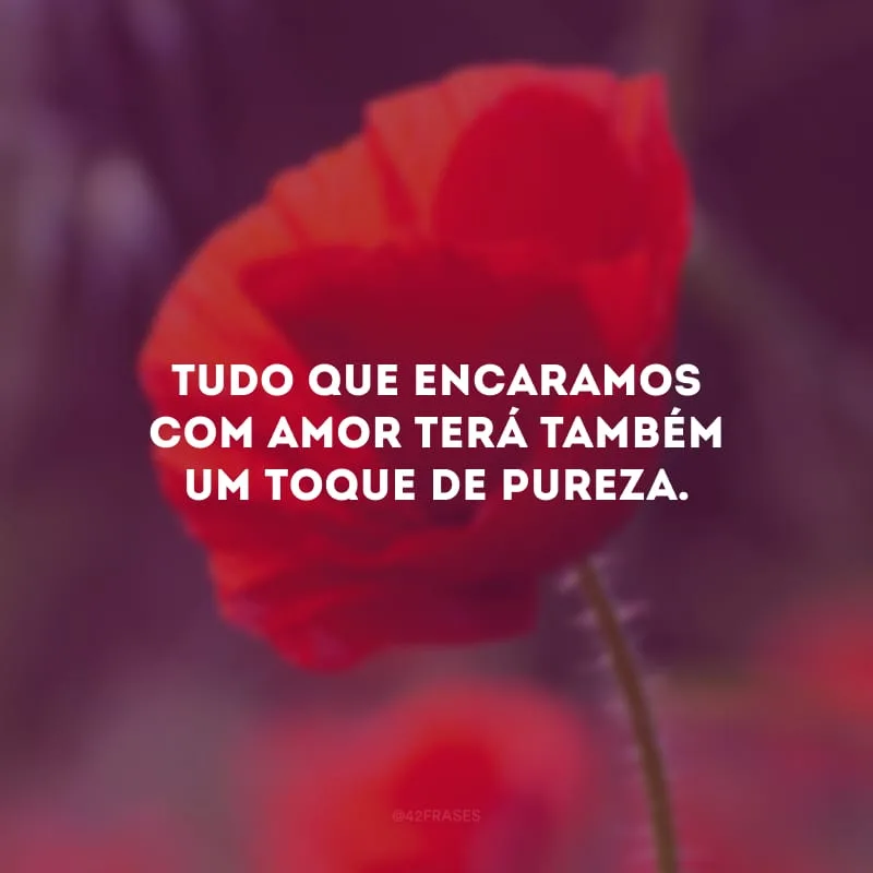Tudo que encaramos com amor terá também um toque de pureza.