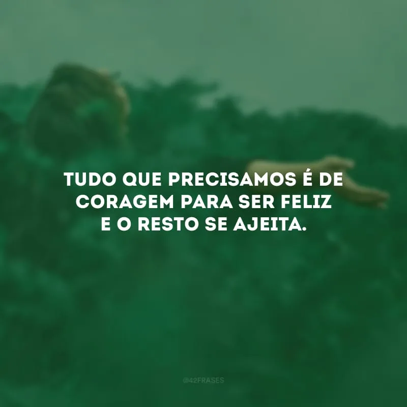Tudo que precisamos é de coragem para ser feliz e o resto se ajeita.