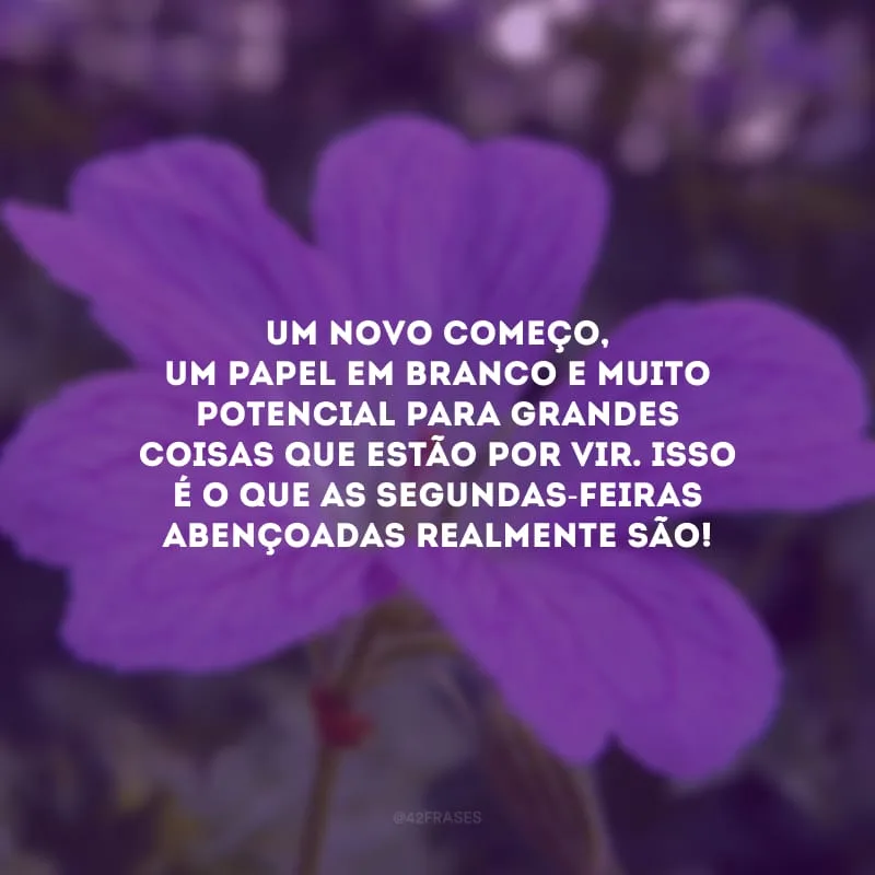 Um novo começo, um papel em branco e muito potencial para grandes coisas que estão por vir. Isso é o que as segundas-feiras abençoadas realmente são!