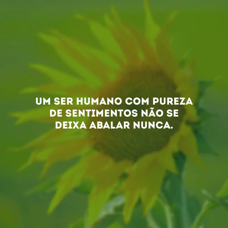 Um ser humano com pureza de sentimentos não se deixa abalar nunca.