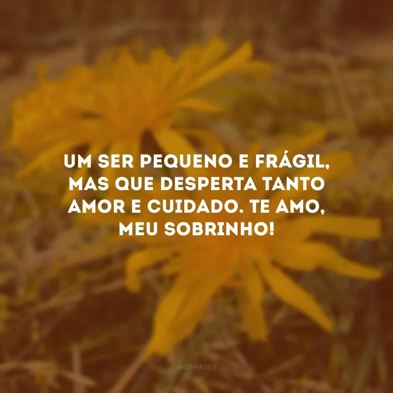 Um ser pequeno e frágil, mas que desperta tanto amor e cuidado. Te amo, meu sobrinho!