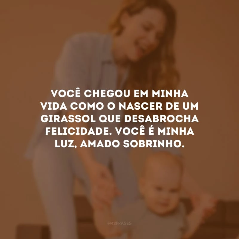 Você chegou em minha vida como o nascer de um girassol que desabrocha felicidade. Você é minha luz, amado sobrinho.