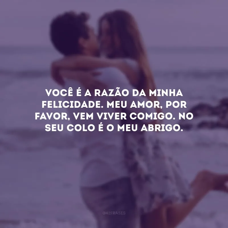 Você é a razão da minha felicidade. Meu amor, por favor, vem viver comigo. No seu colo é o meu abrigo.