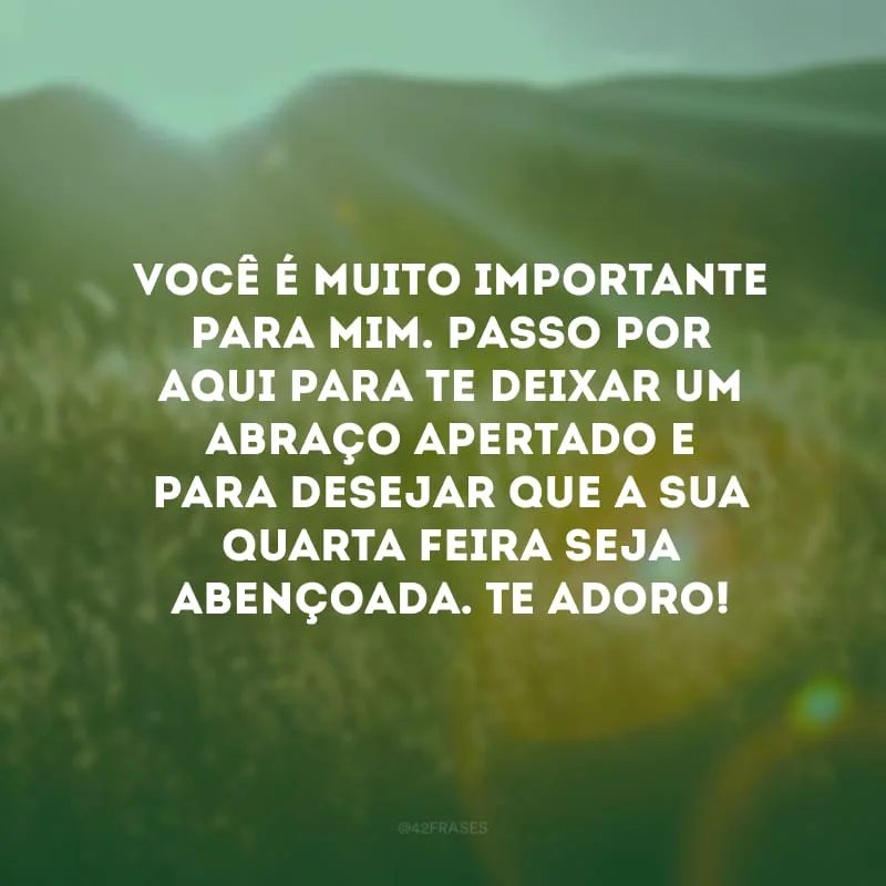 Você é muito importante para mim. Passo por aqui para te deixar um abraço apertado e para desejar que a sua quarta-feira seja abençoada. Te adoro!