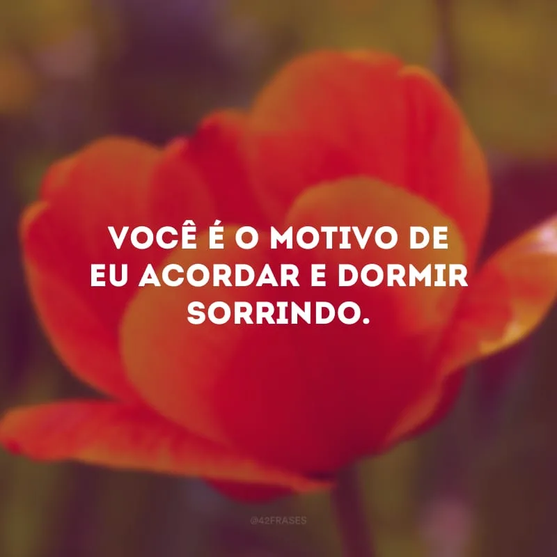 Você é o motivo de eu acordar e dormir sorrindo.