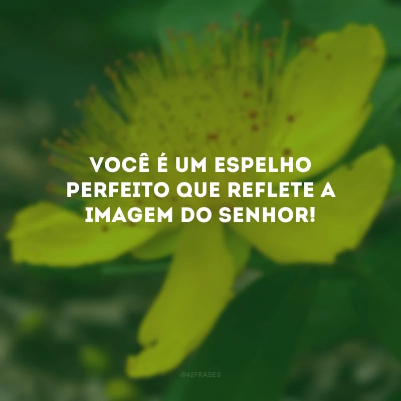 Você é um espelho perfeito que reflete a imagem do Senhor!