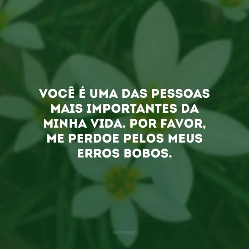 Você é uma das pessoas mais importantes da minha vida. Por favor, me perdoe pelos meus erros bobos.

