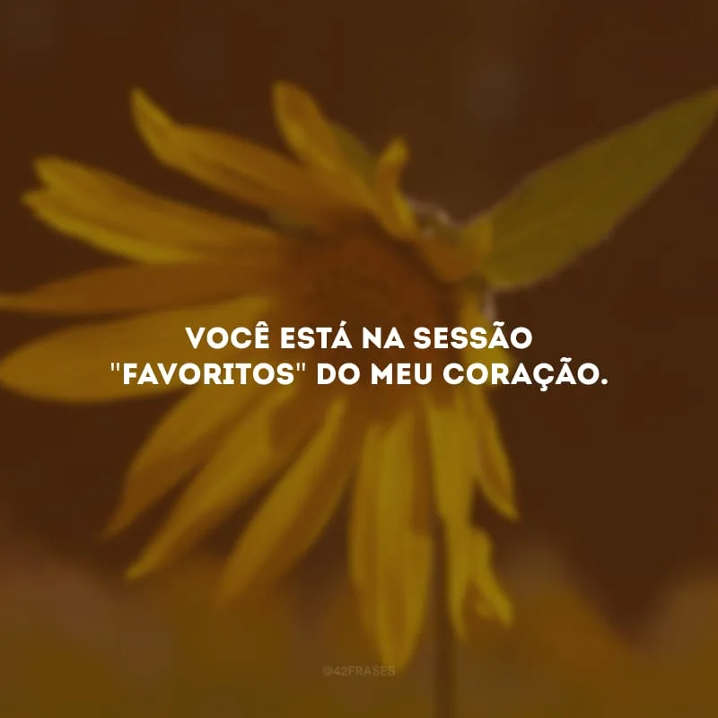 Você está na sessão \"favoritos\" do meu coração.