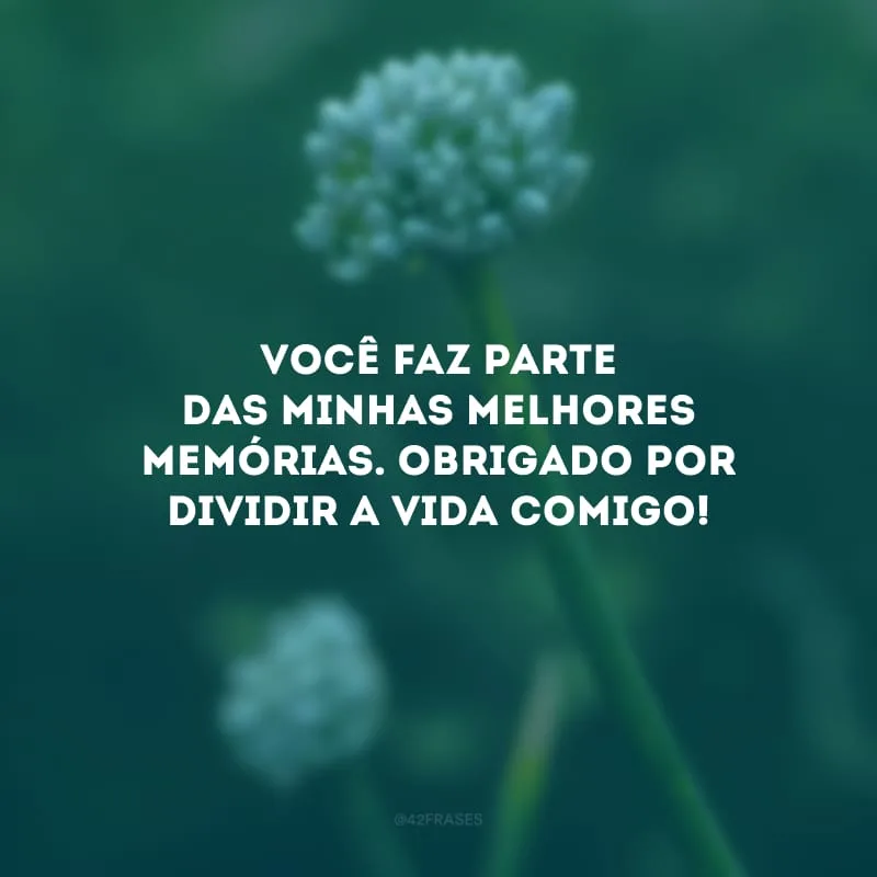 Você faz parte das minhas melhores memórias. Obrigado por dividir a vida comigo!