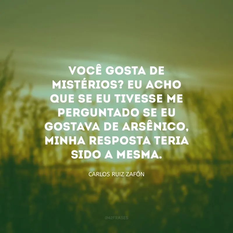 Você gosta de mistérios? Eu acho que se eu tivesse me perguntado se eu gostava de arsênico, minha resposta teria sido a mesma.