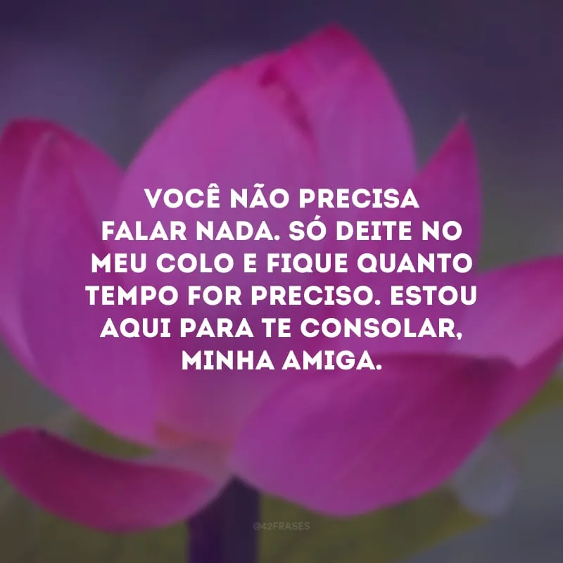 Você não precisa falar nada. Só deite no meu colo e fique quanto tempo for preciso. Estou aqui para te consolar, minha amiga.