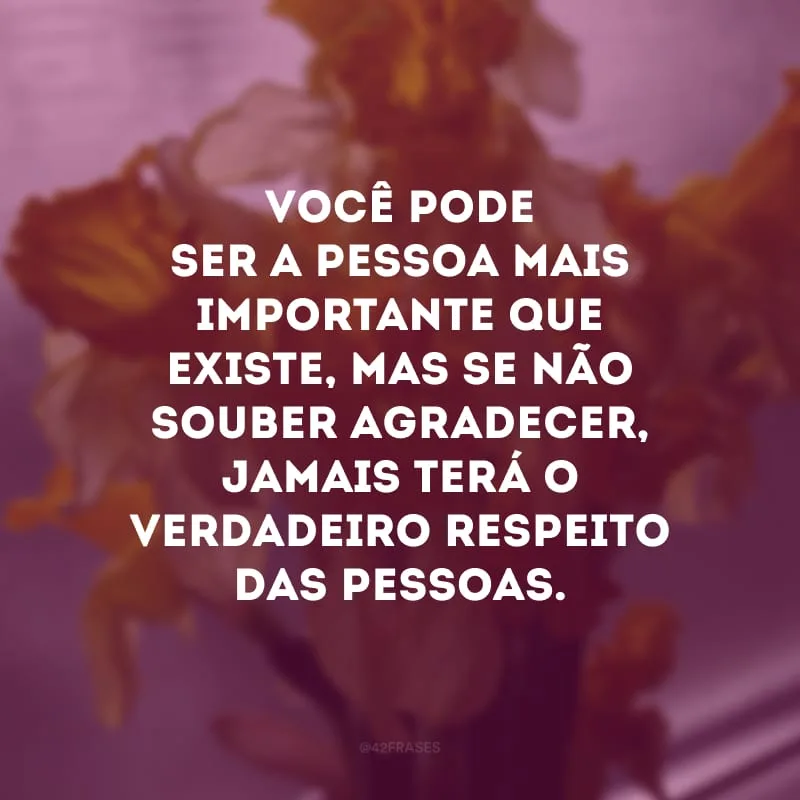 Você pode ser a pessoa mais importante que existe, mas se não souber agradecer, jamais terá o verdadeiro respeito das pessoas.