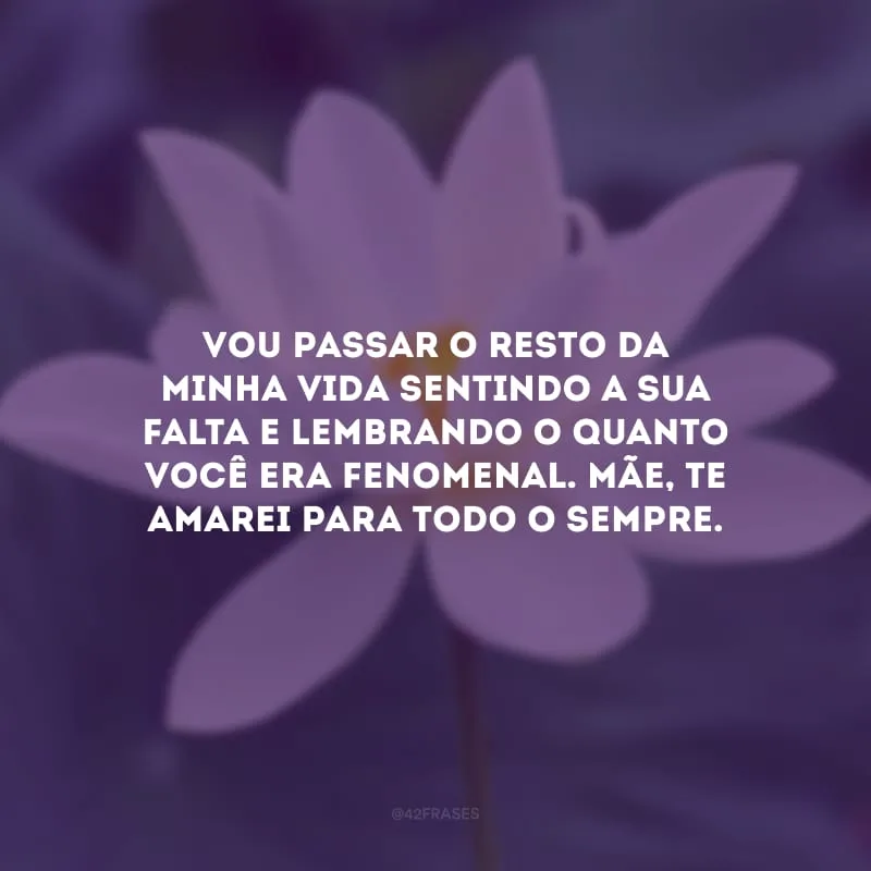 Vou passar o resto da minha vida sentindo a sua falta e lembrando o quanto você era fenomenal. Mãe, te amarei para todo o sempre.