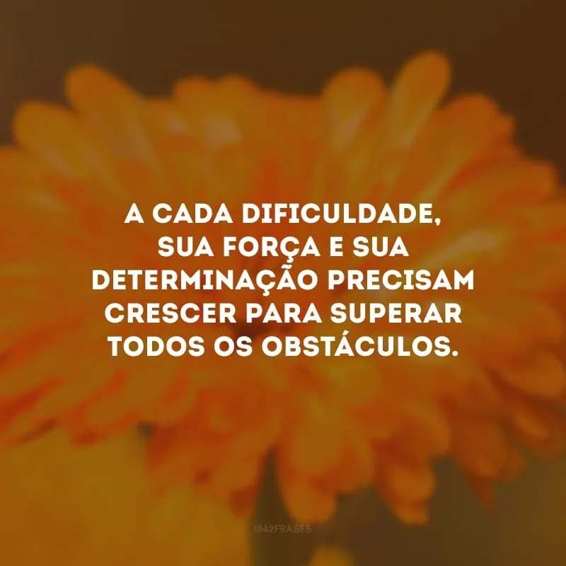 A cada dificuldade, sua força e sua determinação precisam crescer para superar todos os obstáculos.