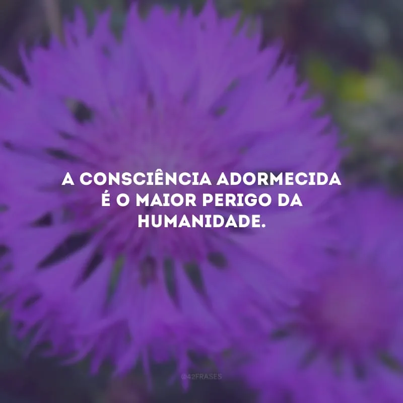 A consciência adormecida é o maior perigo da humanidade.